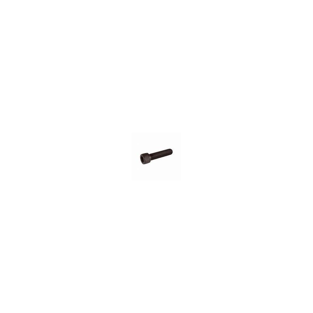 Vis CHC m7x100 longueur 22mm