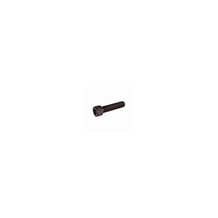 Vis CHC m7x100 longueur 22mm