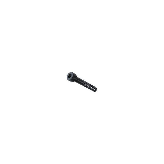 Vis CHC M10x55